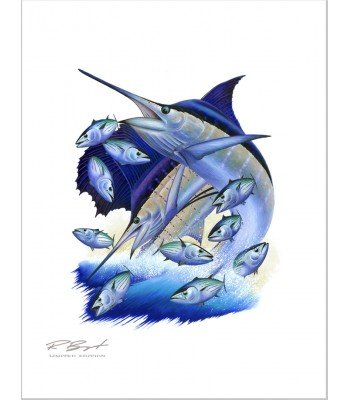 "Bonito" Blue Marlin Sailfish